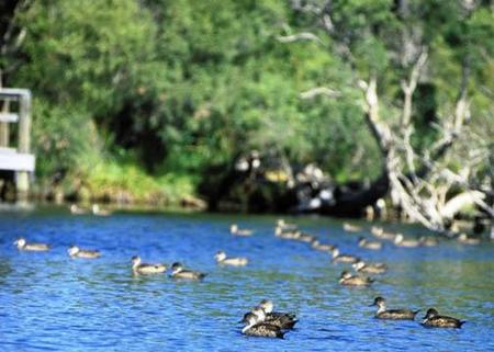 Comfort Inn Yanchep - Accommodation 4U 4