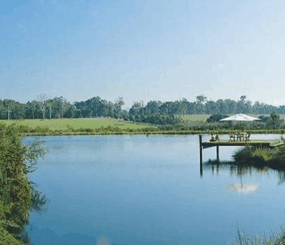Forest Rise Eco Retreat - Accommodation 4U