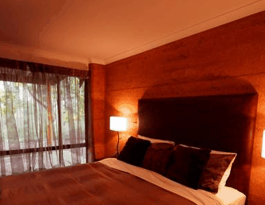 Forest Rise Eco Retreat - Accommodation 4U 1