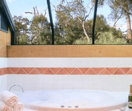 Forest Rise Eco Retreat - Accommodation 4U 3