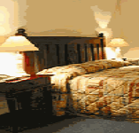 Comfort Inn Treetop Walk - Accommodation 4U