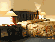 Comfort Inn Treetop Walk - Accommodation 4U 0