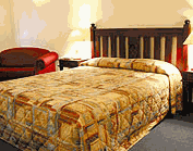 Comfort Inn Treetop Walk - Accommodation 4U 2