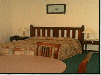 Comfort Inn Treetop Walk - Accommodation 4U 3