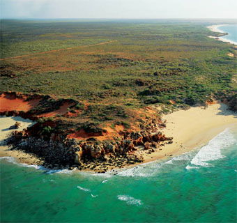Eco Beach Wilderness Retreat - Accommodation 4U 2