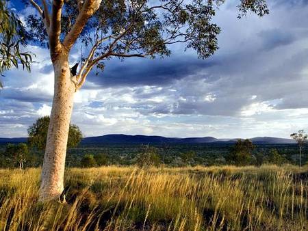Karijini Eco Retreat - Accommodation 4U 5
