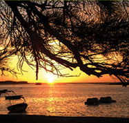 Pelican's Nest - Accommodation 4U