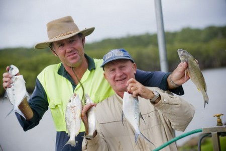 Terrace Reserve Holiday Park - Accommodation 4U 1