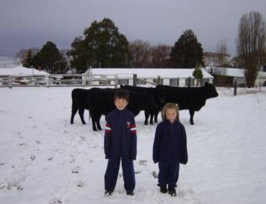 San Michele Resort - Accommodation 4U 4