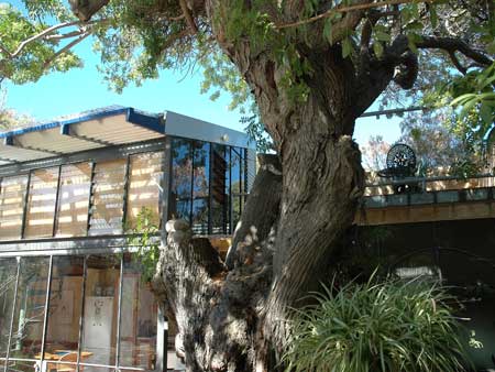 The Painted Fish - Accommodation 4U 3