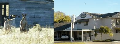 Acacia Motor Inn - Accommodation 4U 5