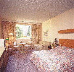 Country Comfort Armidale - Accommodation 4U 3