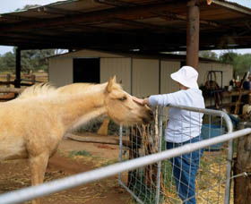 Cue WA Accommodation 4U