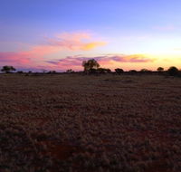 Wogarno Homestead - Accommodation 4U