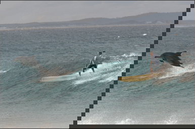 Spot X - Accommodation 4U 2