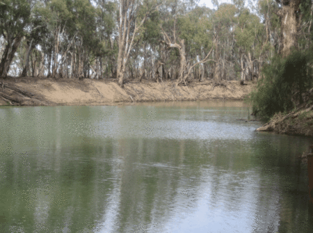 Balranald Club Motel - Accommodation 4U 1