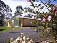 Bega Caravan Park - Accommodation 4U 5