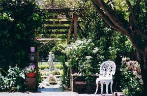 Bowral Cottage Inn - Accommodation 4U 2