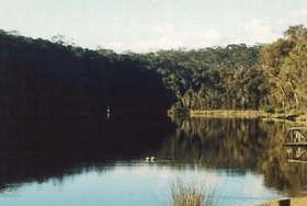 Rest Point Holiday Village - Accommodation 4U 1