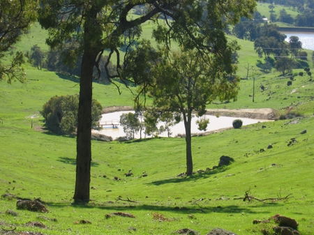 Vista Ridge Estate - Top Paddock Cottage - Accommodation 4U 3