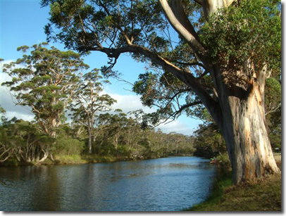 The Coombe On Wilson Inlet - Accommodation 4U 5