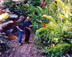 Milkwood Lodge - Accommodation 4U 1