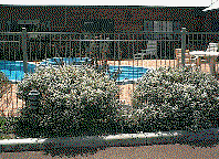 Tree Top Walk Motel - Accommodation 4U 1