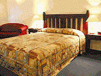 Tree Top Walk Motel - Accommodation 4U 4