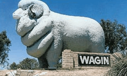 Wagin Motel - Accommodation 4U 0