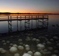 Lake Clifton Caravan Park - Accommodation 4U