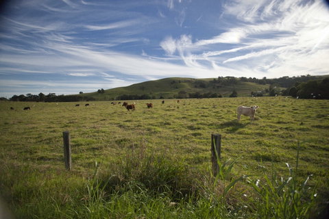 Annas Retreat - Accommodation 4U 0
