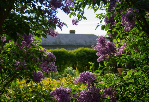 Eurambeen Historic Homestead And Gardens - Accommodation 4U 1