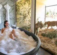Jamala Wildlife Lodge - Accommodation 4U