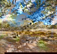 Kings Plains Creek campground - Accommodation 4U