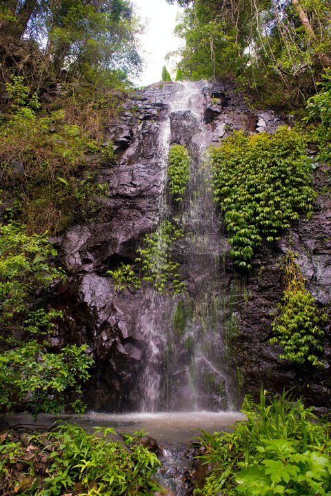 Nimbin Waterfall Retreat - Accommodation 4U 0