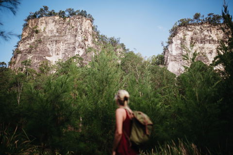 Sandstone Park Carnarvon Gorge - Accommodation 4U 0