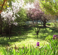 Sofala Cottage - Accommodation 4U