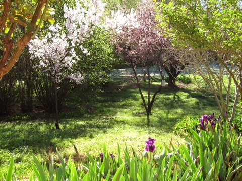 Sofala Cottage - Accommodation 4U 0
