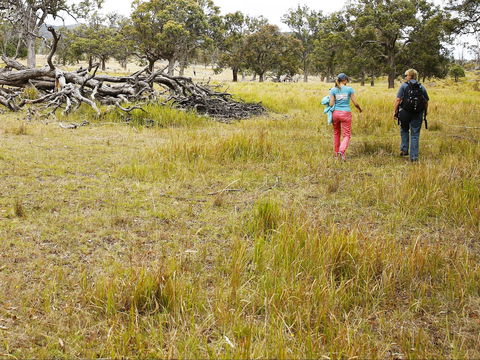 Sundown National Park Camping - Accommodation 4U 2