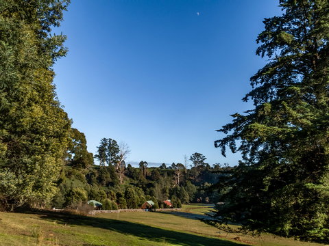 Tin Dragon Trail Cottages - Accommodation 4U 0