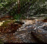 Wombat Creek campground - Accommodation 4U
