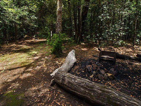 Wombat Creek Campground - Accommodation 4U 0