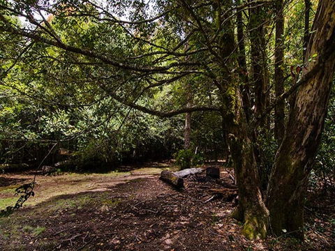 Wombat Creek Campground - Accommodation 4U 1
