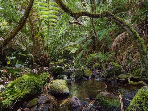 Wombat Creek Campground - Accommodation 4U 2