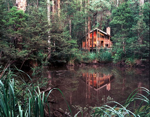 Woodlands Rainforest Retreat - Accommodation 4U 0