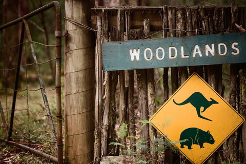 Woodlands Rainforest Retreat - Accommodation 4U 1