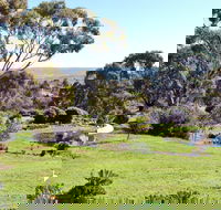 Austiny Bed and Breakfast - Accommodation 4U