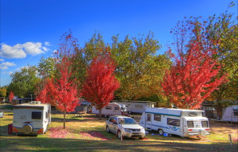 Beechworth Lake Sambell Caravan Park - Accommodation 4U 0