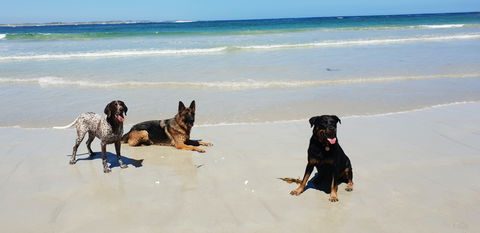 BIG4 Warrnambool Figtree Holiday Park - Accommodation 4U 2