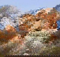 Credo Homestead Camp at Credo Conservation Park - Accommodation 4U